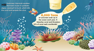 The Toxicity Of Surfing Infographic By Envirosurfer