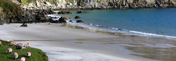 KSP Aer Lingus Kite Surf Pro Ireland 2012 Day 7