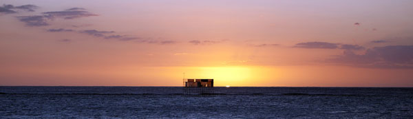 One Eye Kitesurf Pro 2012 KSP One Eye Kitesurf Pro 2012