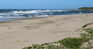 Kitesurfing Palm Beach